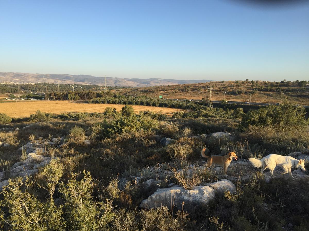 Peace Tent Vila Kfar Rut Exterior foto