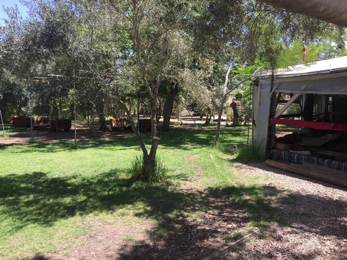 Peace Tent Vila Kfar Rut Exterior foto